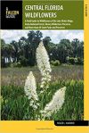 Florida Wildflowers: Central Florida Guide